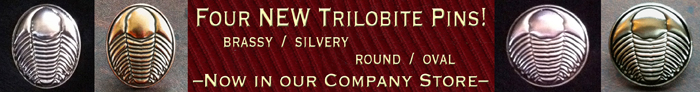 The little trilobite pins!